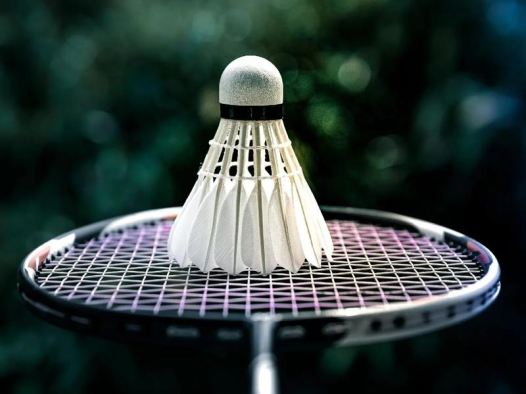 2026乐清羽毛球运动最新动态：全民赛事火热开赛，本土羽球氛围持续升温